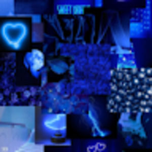 Meet your Posher, Jazmine